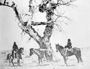 Tree Burial of the Oglala Sioux near Ft. Laramie, Wyo. courtesy National Archives