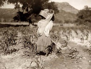 Indian Woman Working in Cornfield, 1906, Edward S. Curtis